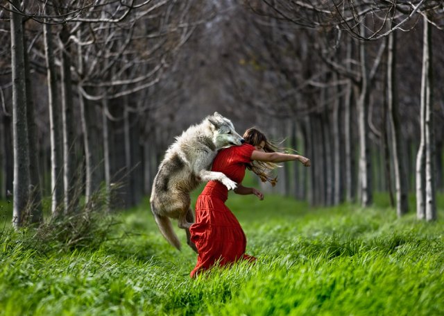 A Woman’s Bible = Women Who run With Wolves