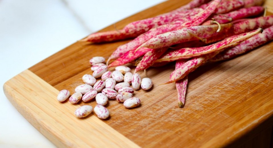 Cranberry Bean Dish