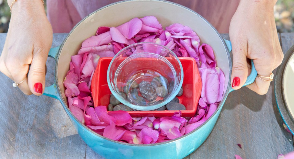 Making Rose Water ~ Part 2